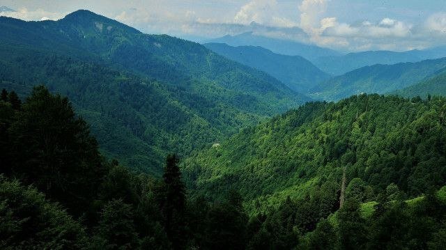 BMT: Turkiya obodonlashtirish borasida Yevropadan oldinda