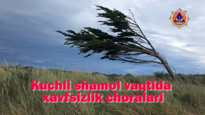 FVV ogohlantiradi: kuchli shamol vaqtida quyidagi xavfsizlik choralarini ko‘ring