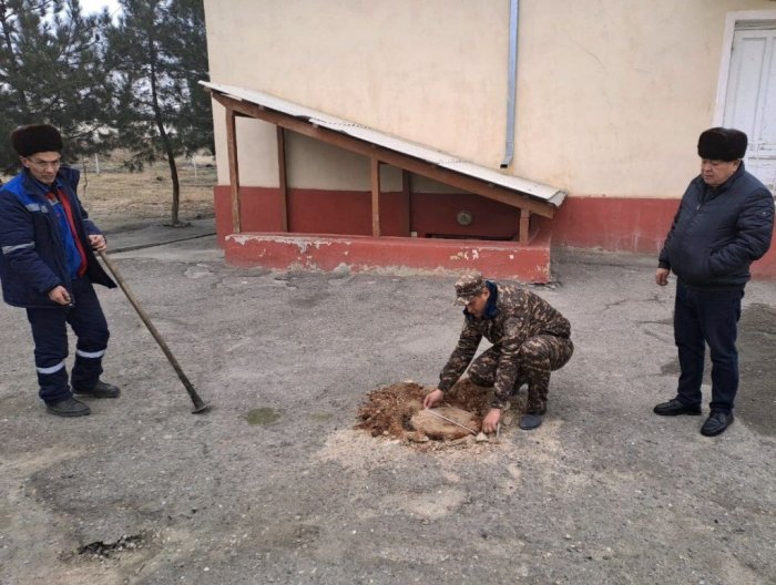 Namangandagi shifohonada chinor va kashtan daraxti noqonuniy ravishda kesib tashlandi