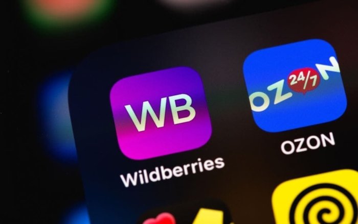 Ozon va Wildberries bozorlari «DXR» va «LXR» da ish boshlaydi