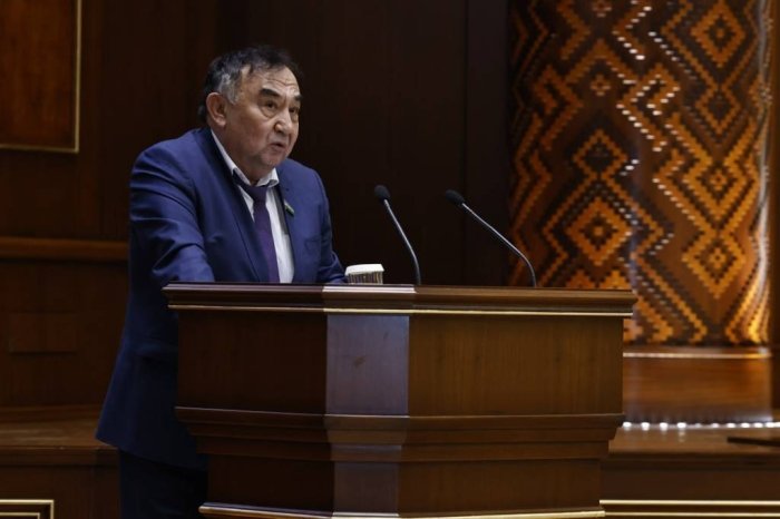 Senat hukumatga parlament so‘rovi yubordi