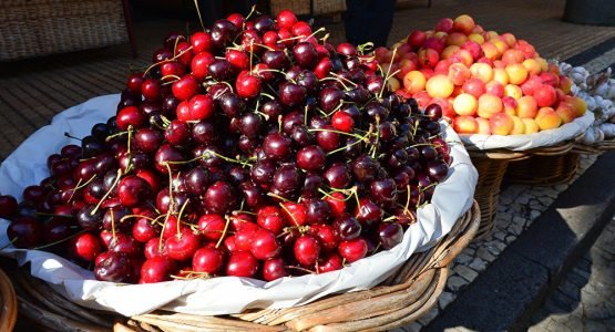 Tog‘olcha va olxo‘ri o‘rtasida qanday farq borligini bilasizmi?