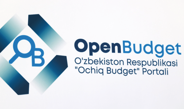 “Open Budget”ga ovoz yig‘ishga majburlagan hokim o‘rinbosari jazolandi